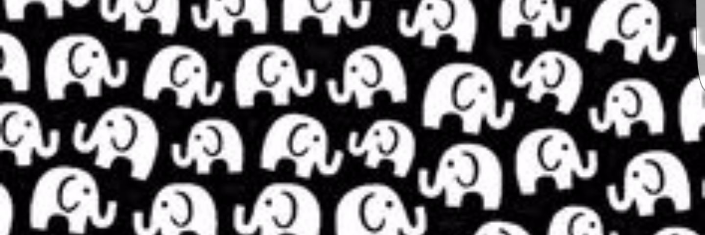 CelyaRaye's profile banner image