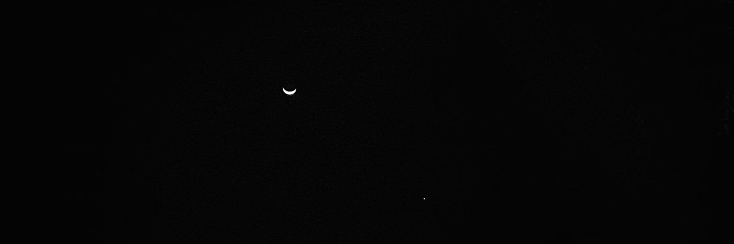 _fridaoli's profile banner image