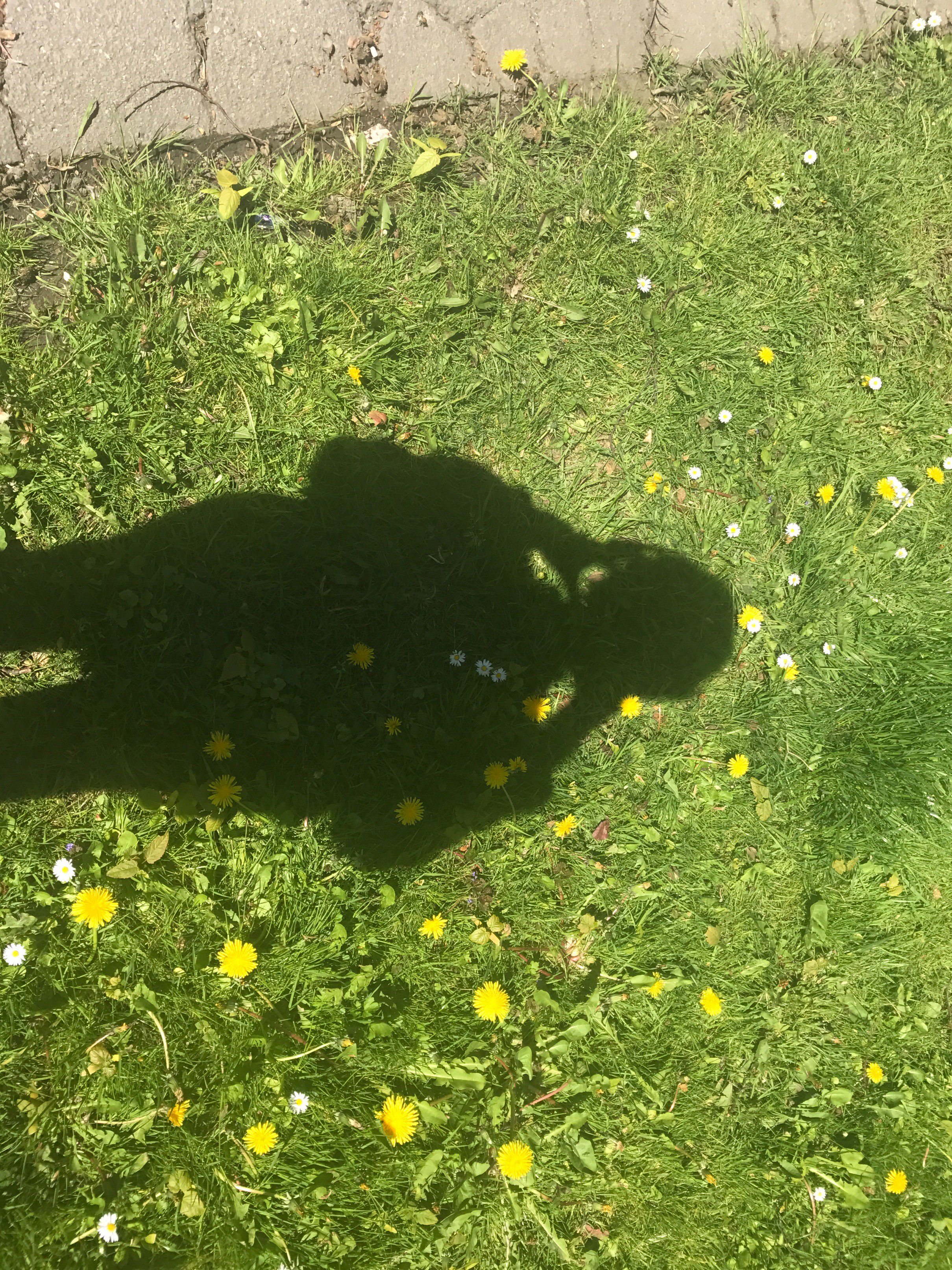 JANAE (/catalina) banner