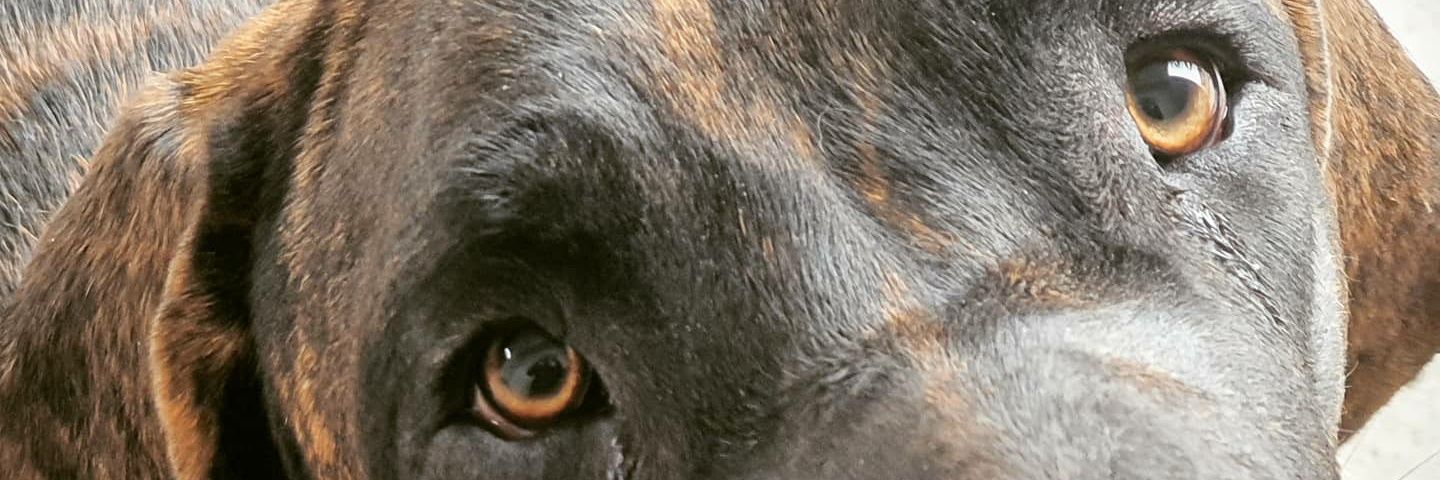 MARTHA ❤️‍🔥 banner