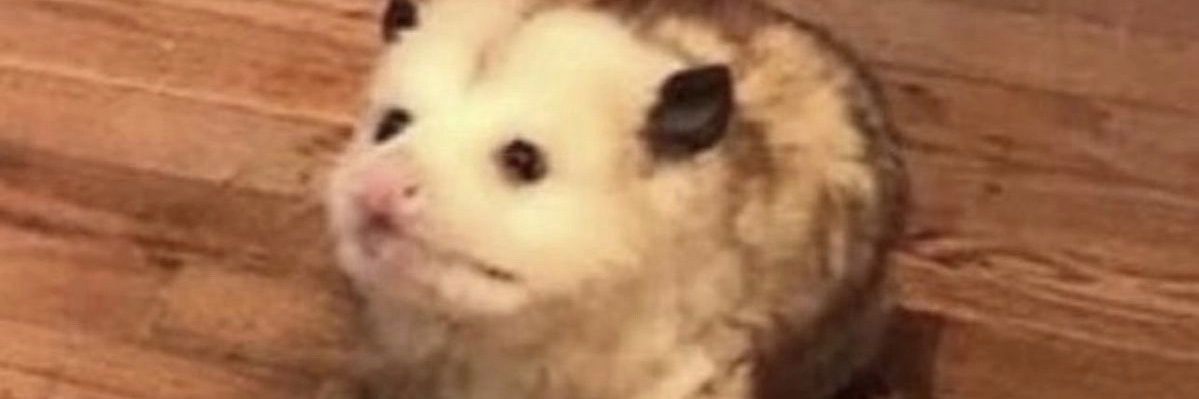 Well_Shiznitz's profile banner image