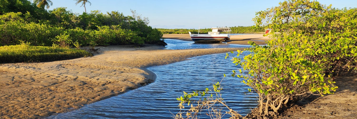 Edson Felloni Borges banner