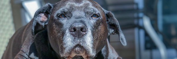 ShaunStarr78 Profile Banner