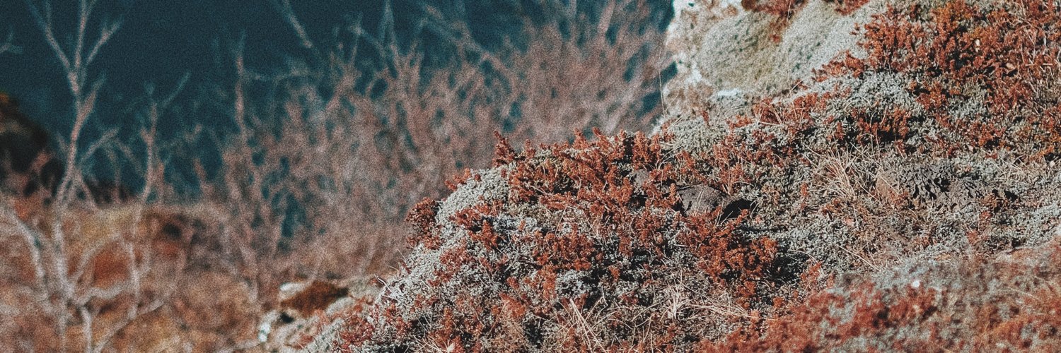 davidmerrique's profile banner image