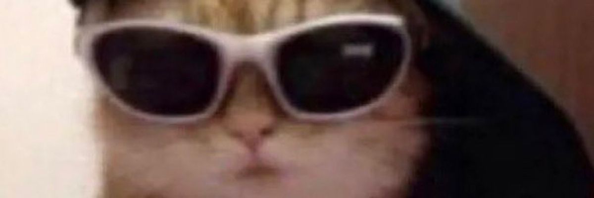 lostfiction's profile banner image