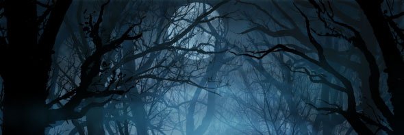 👻Unruly Dreams👻 banner