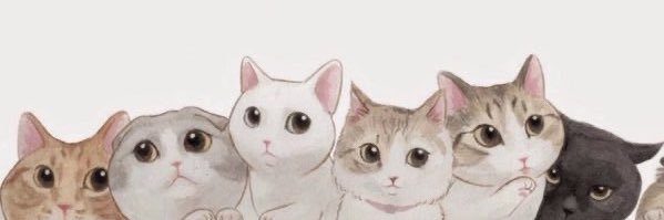 ottobela's profile banner image