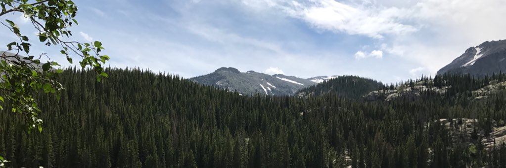 23Tjaden's profile banner image