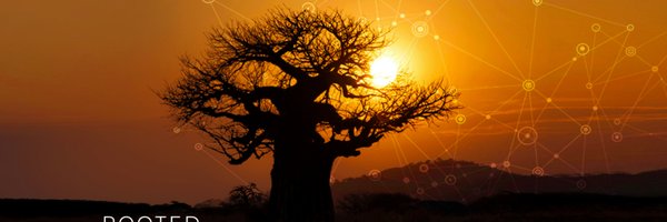 Reimagine_SA Profile Banner