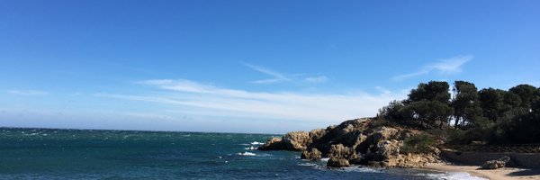 silviabril Profile Banner
