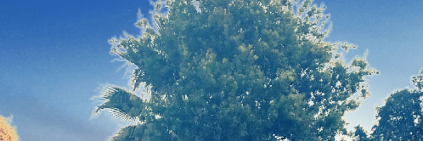 ZackDavila's profile banner image