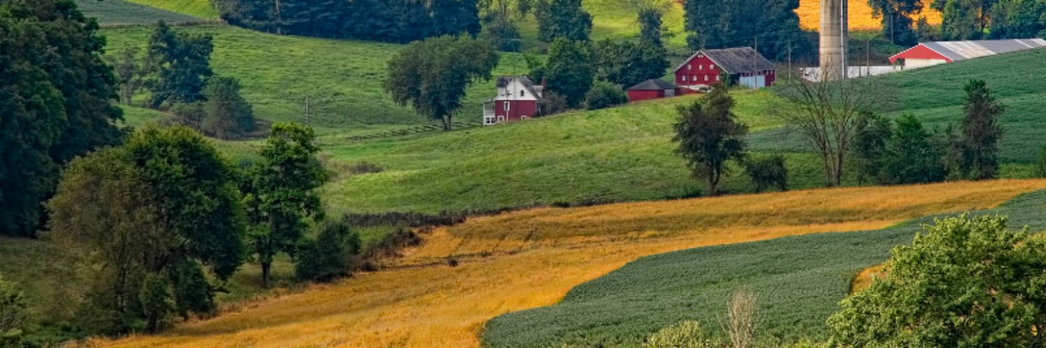 GoodNewsWithSam's profile banner image