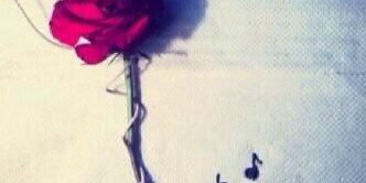 Attt_511's profile banner image