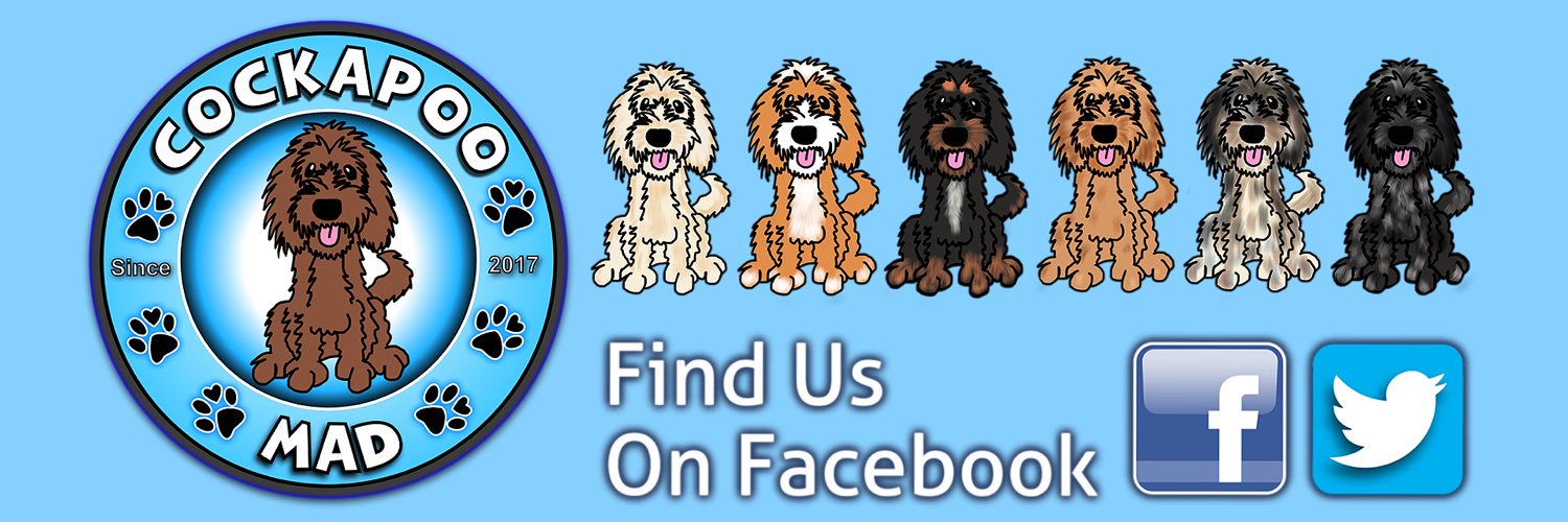 Cockapoo Mad banner