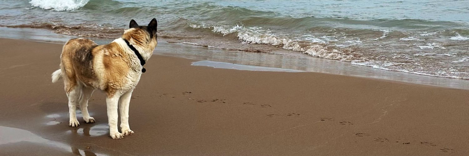 fick_Du's profile banner image