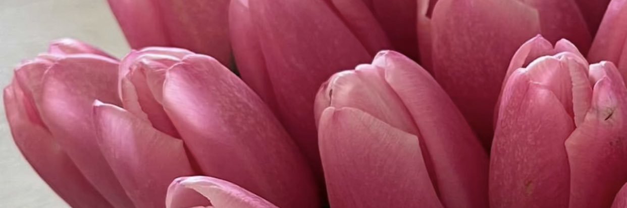 BshayerSamkari's profile banner image