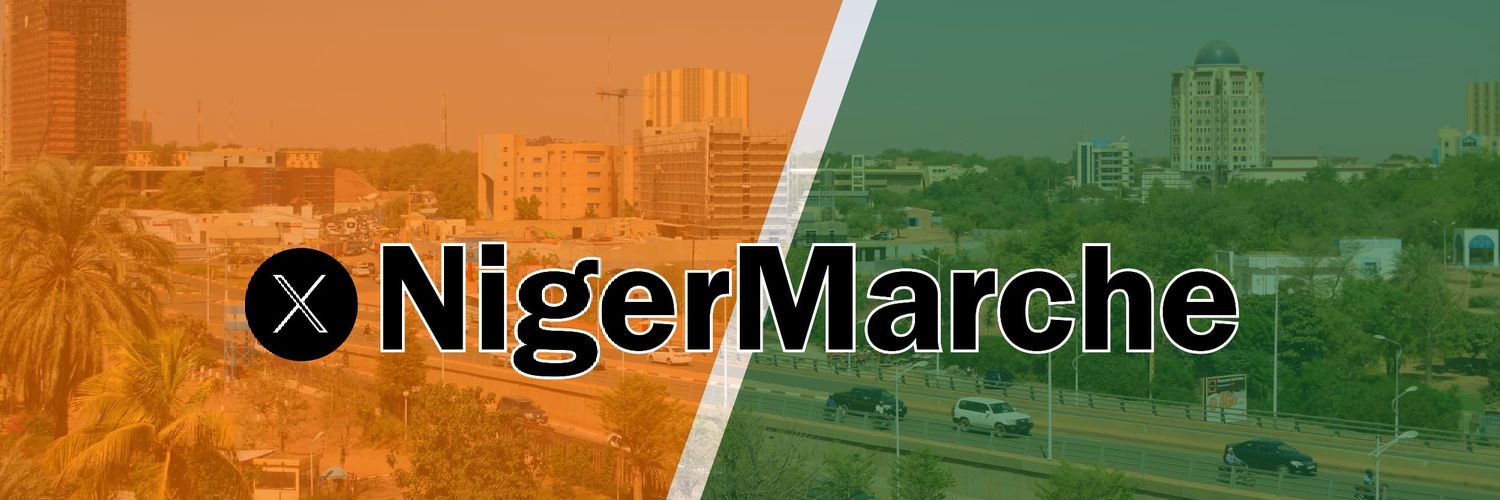 Le Niger en Marche banner