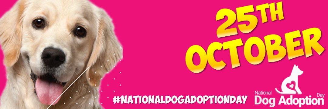 dogadoptionday's profile banner image