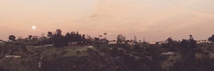 chelss_klein's profile banner image