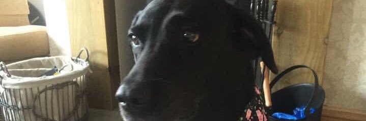 CR strong minded never a follower banner