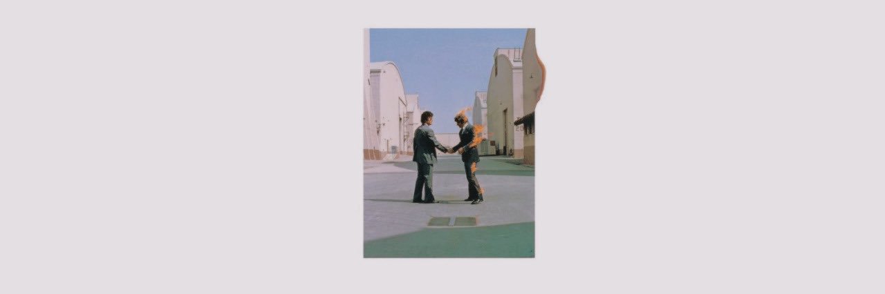 kiwifields's profile banner image