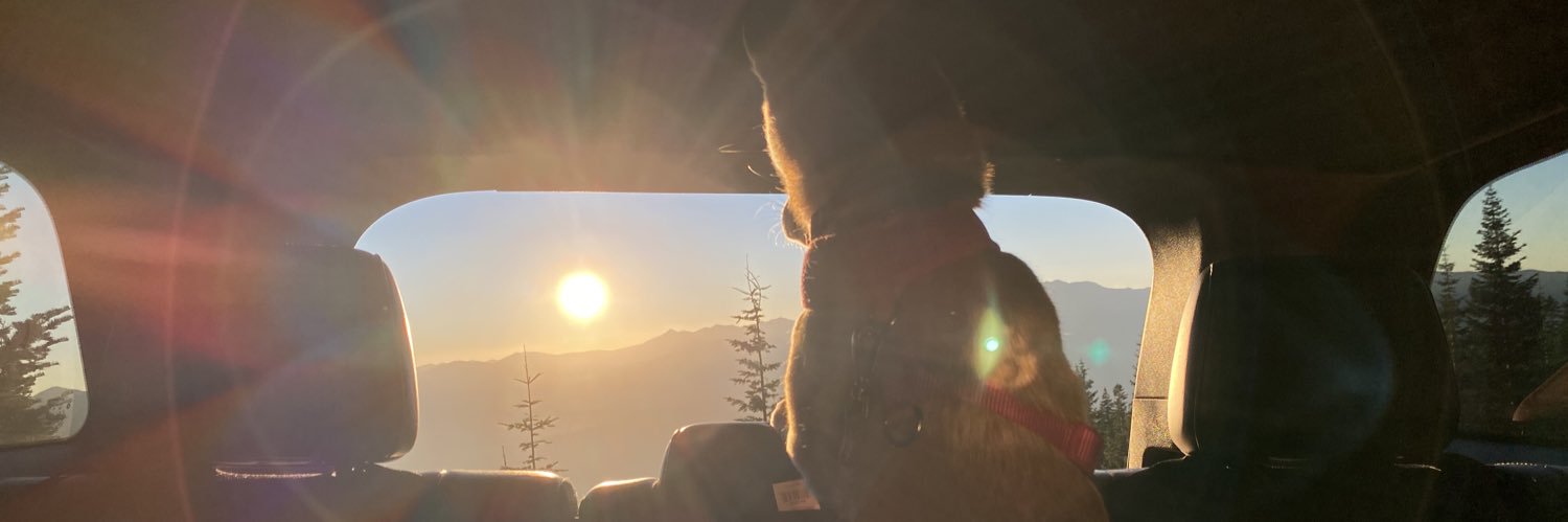 TaylorDockter's profile banner image