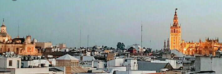 fovsevilla's profile banner image