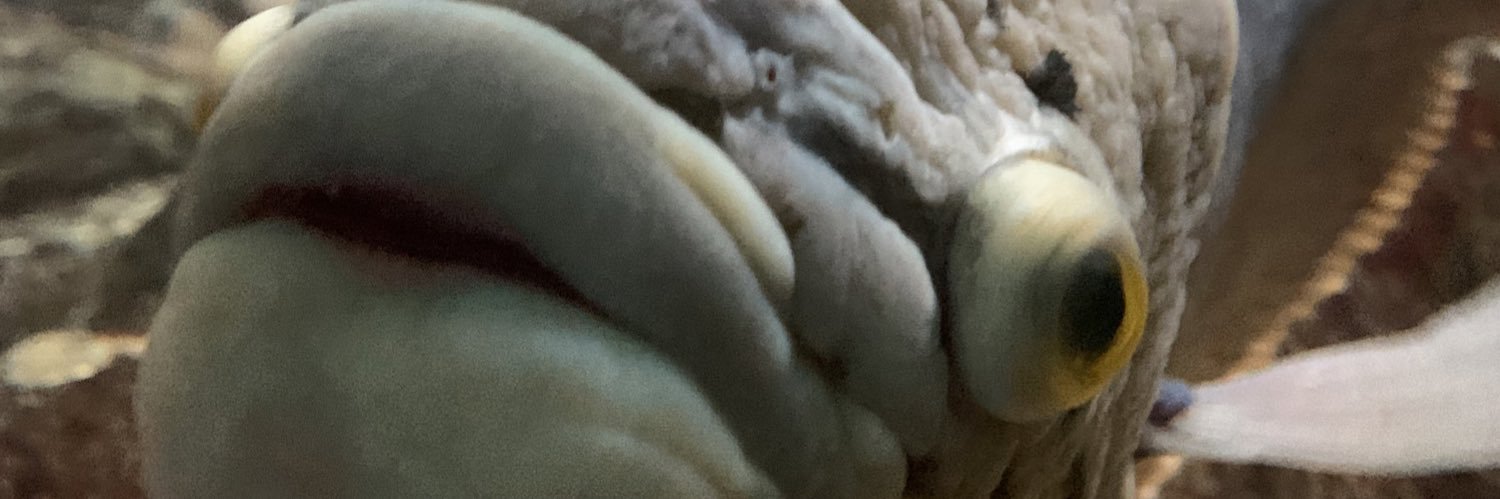 jenna_shively's profile banner image
