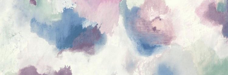 linsc88's profile banner image