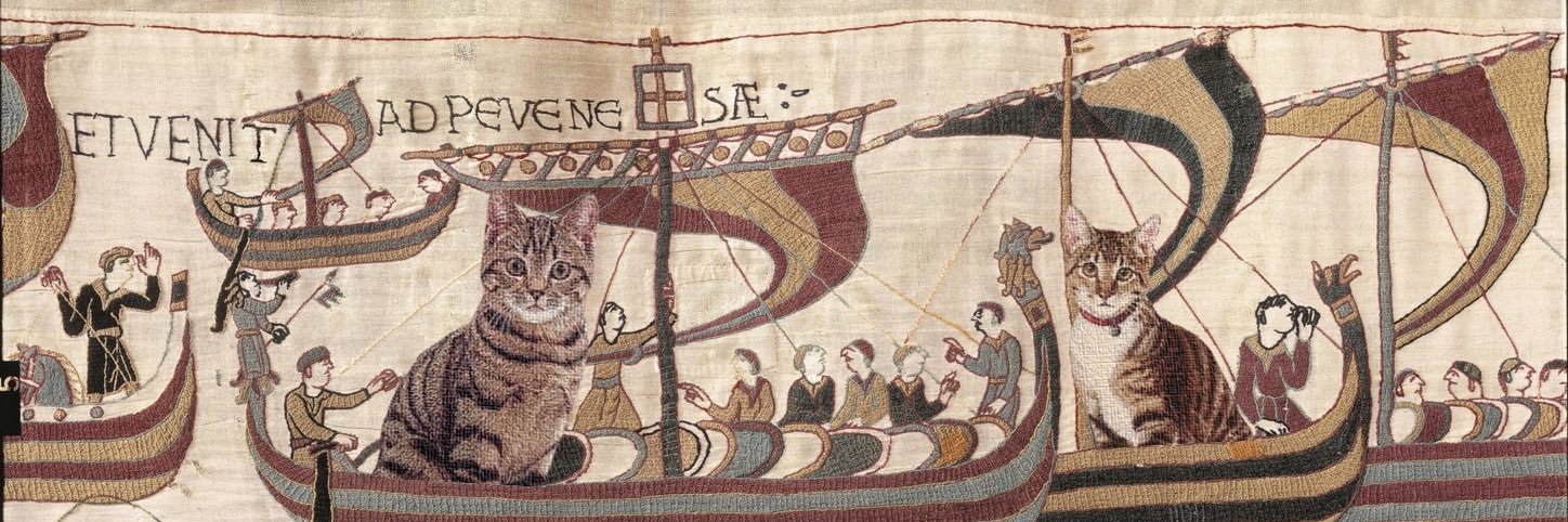 🦇 BAT GUY! 🌻 banner