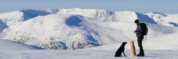 MrAndrewCotter Profile Banner