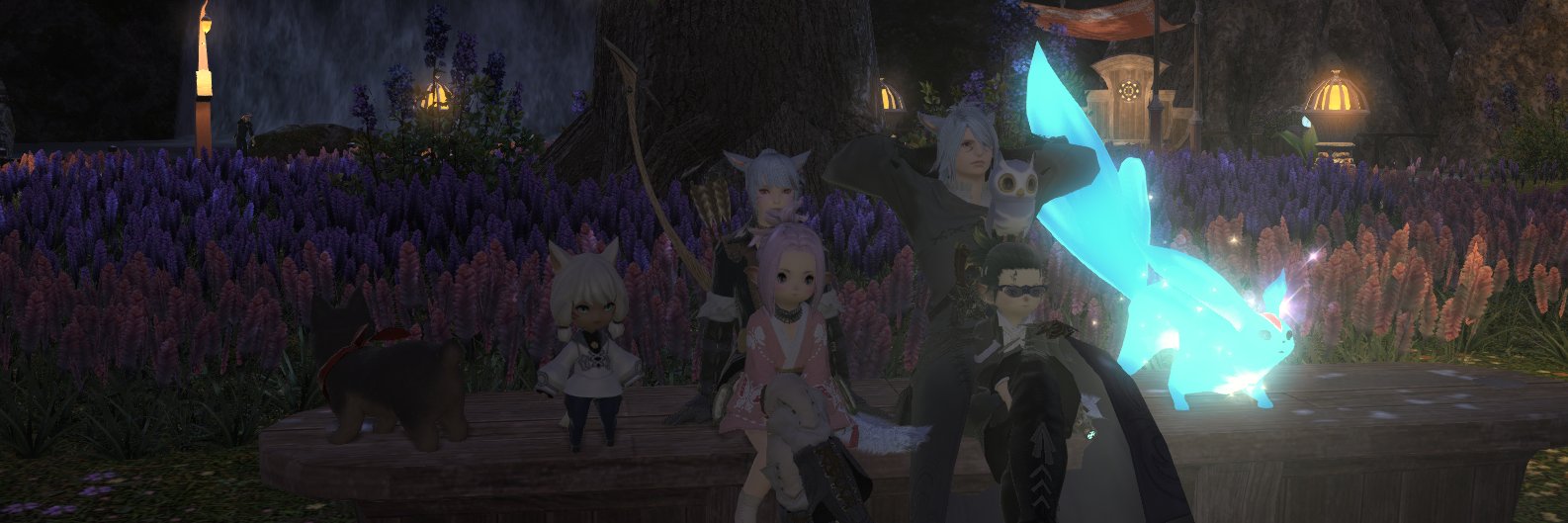 のどか banner