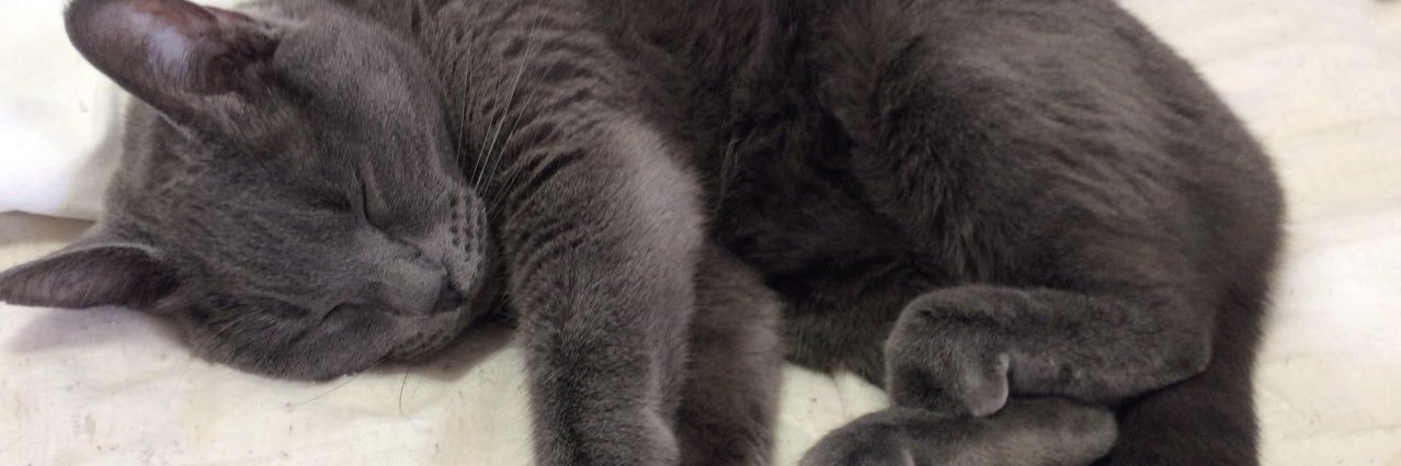 DailyHaley's profile banner image
