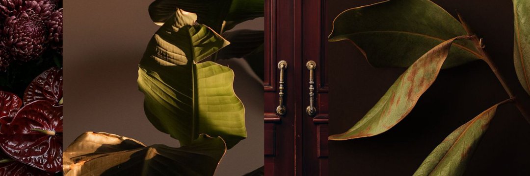 jingyni's profile banner image