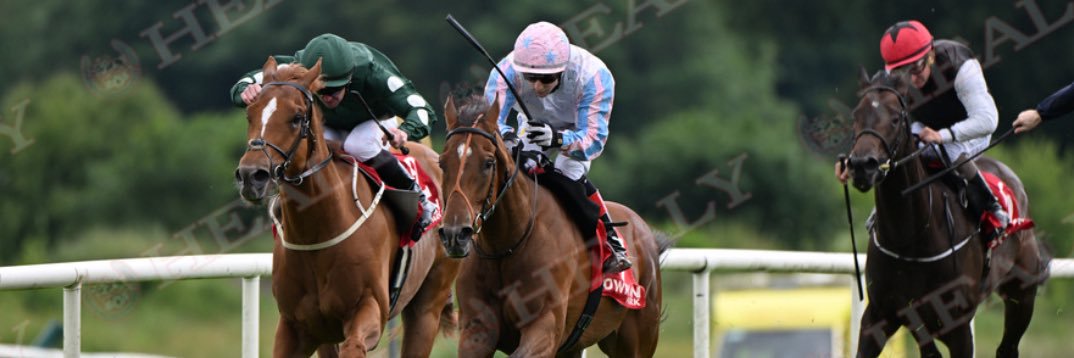 Hugo Mc Dermott banner