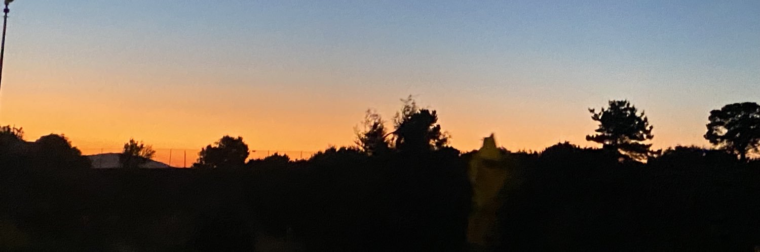 ☠︎︎ Luli ☠︎︎ banner