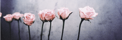 dinafcg's profile banner image