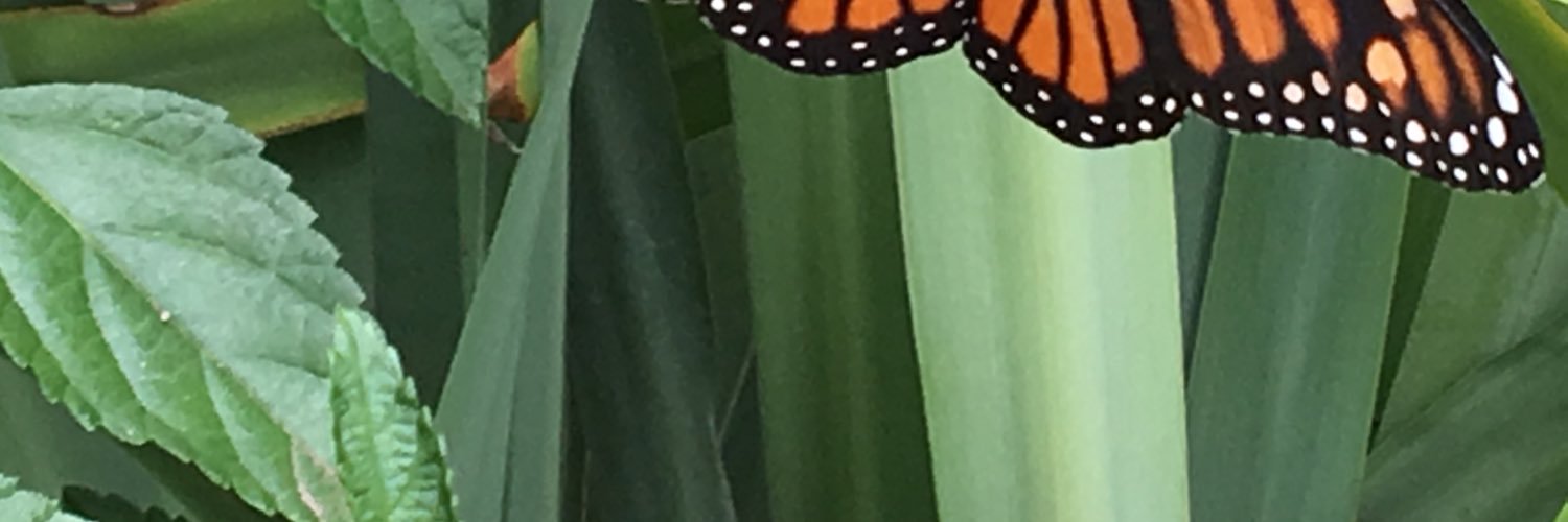 Carol linthicum banner