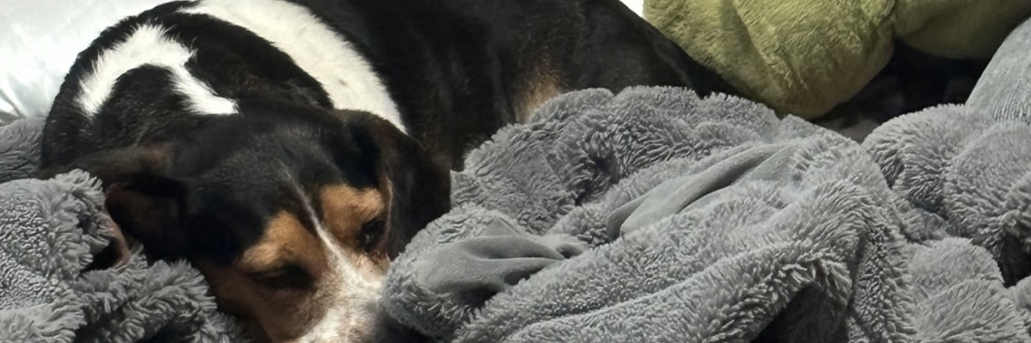 lcourtneymom's profile banner image