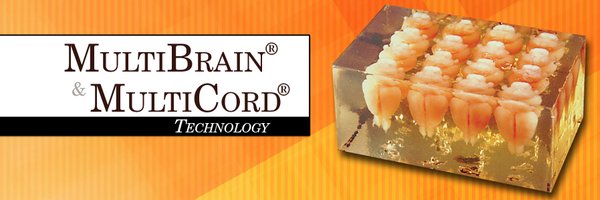 MultiBrains Profile Banner