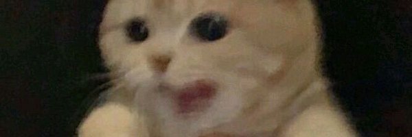 arleguez Profile Banner