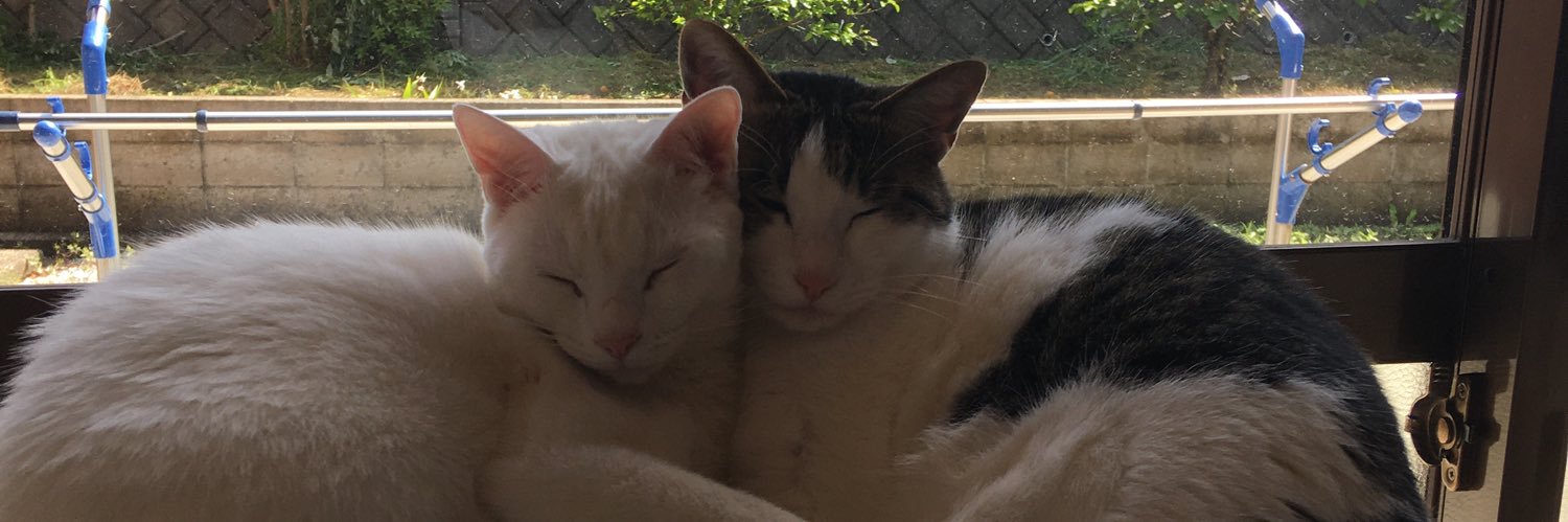 たるぼっち banner