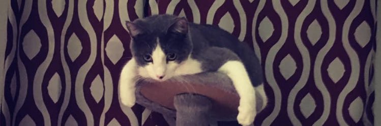 nick_cronan's profile banner image