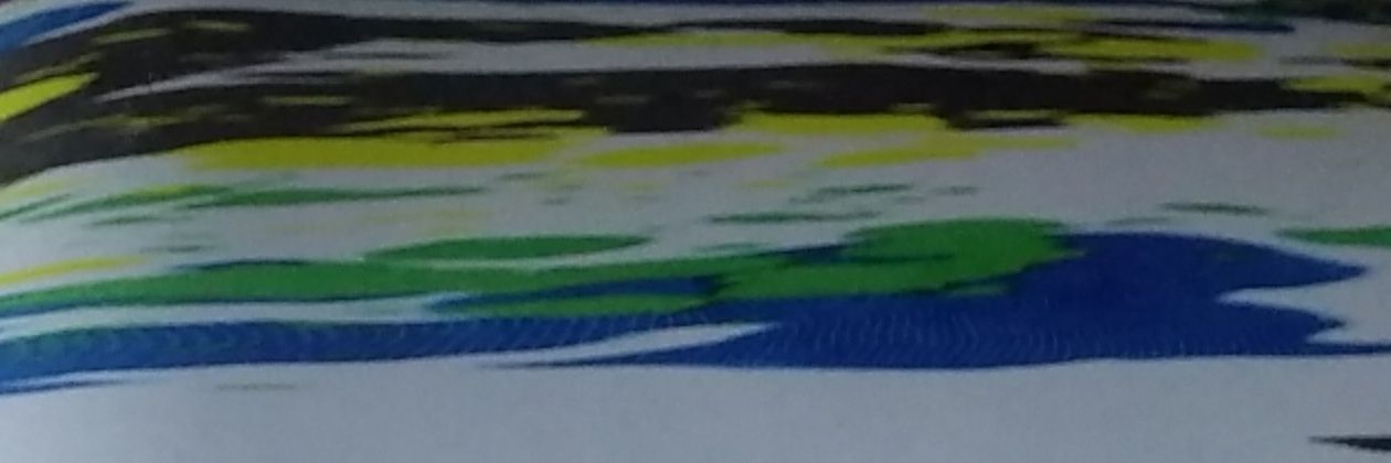 Sri banner