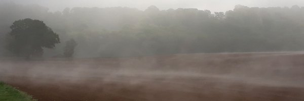 damienheurtaut Profile Banner