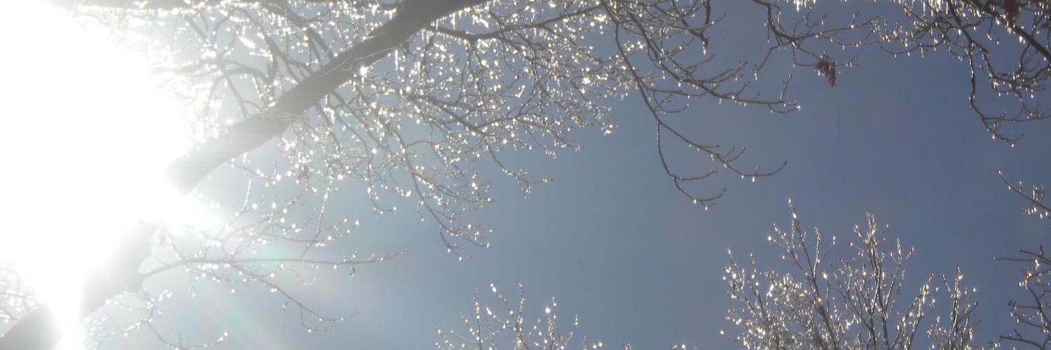 lblomrn's profile banner image
