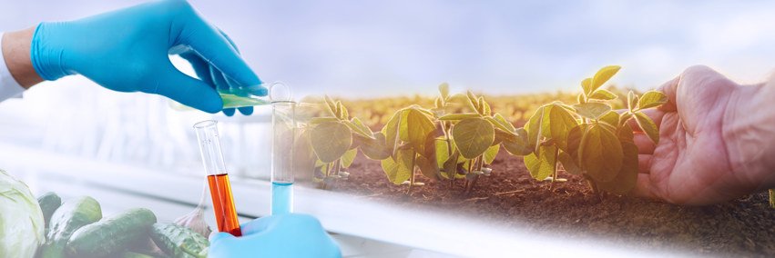 Veggunn banner