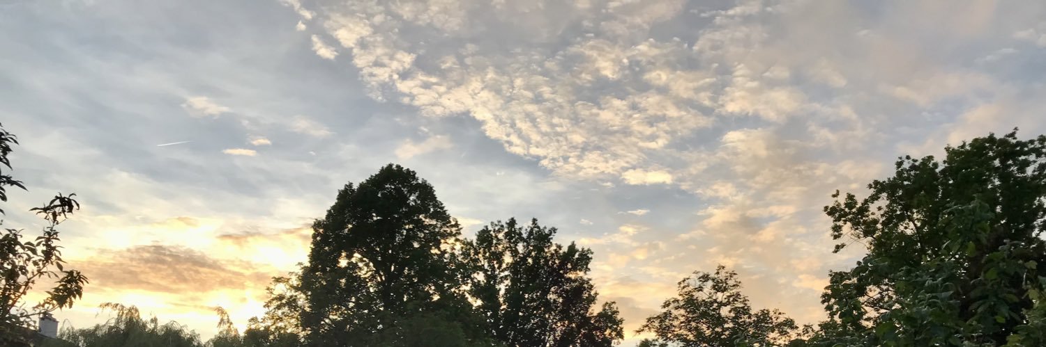 irisbuunk's profile banner image