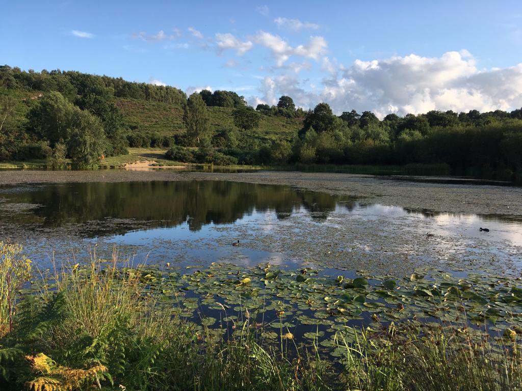 Samantha Dismore banner