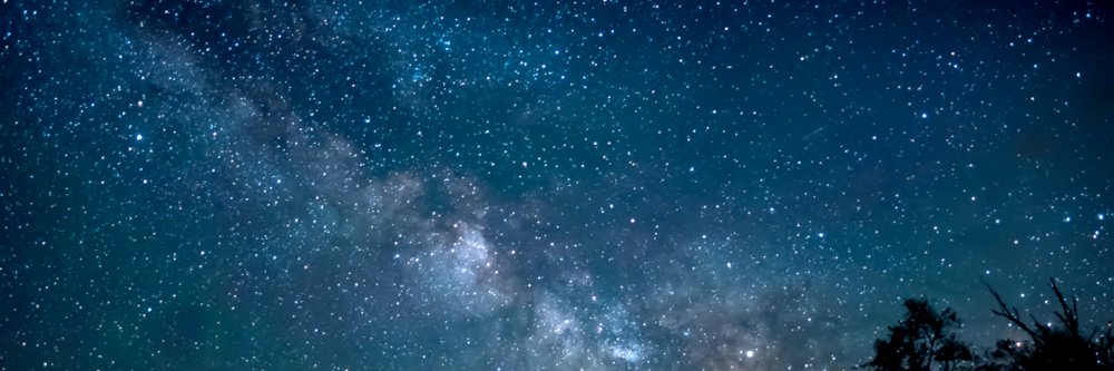 TannrrX's profile banner image